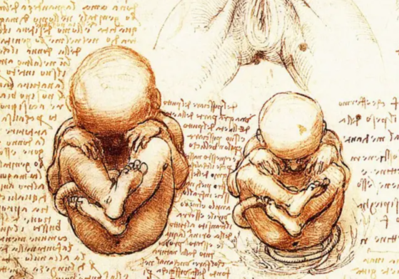 Lettera da una stiva