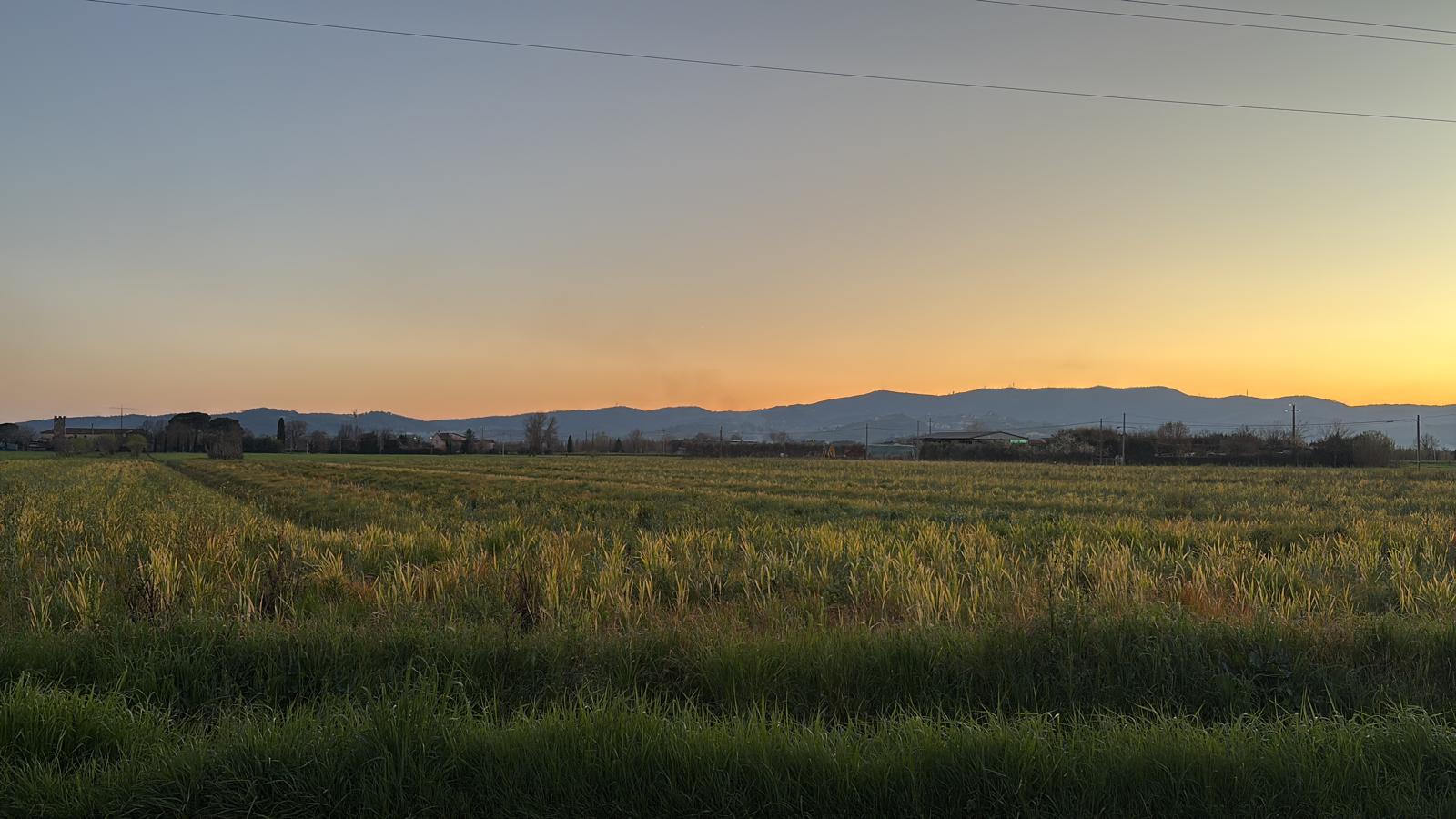 stanca di non poter tornare a casa