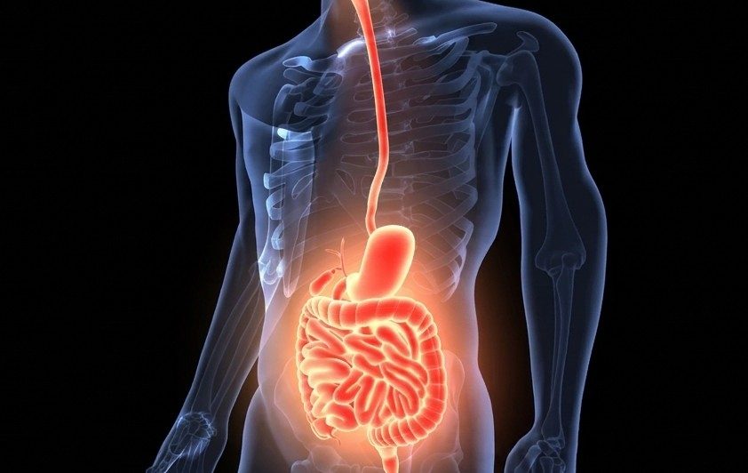 Malocchio Gastrico